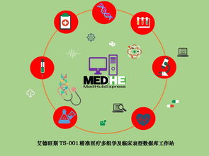 技術服務的關鍵價值與未來發展趨勢