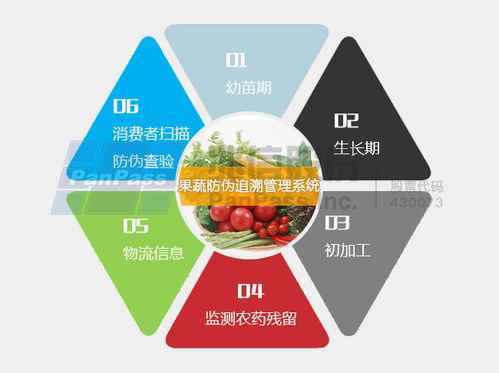 為當地西瓜貼上“身份標簽” 防偽碼技術服務引領農業品牌新時代